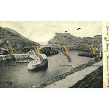 Boscastle Harbour & Profile Rock, Cornwall, Rare Wharton Art Postcard, 1905