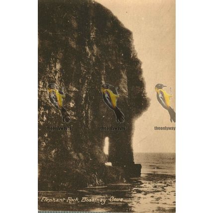 Elephant Rock, Bossiney Cove, Cornwall, Webbers Series Postcard