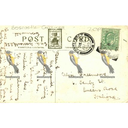 Boscastle Harbour & Profile Rock, Cornwall, Rare Wharton Art Postcard, 1905
