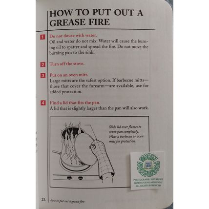 LOT of 3 WORST-CASE SCENARIO SURVIVAL HANDBOOK + HOLIDAYS + DATING & SEX