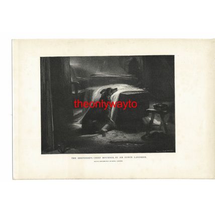 Shepherd's Chief Mourner, Landseer, Timothy Cole Book Illustration (Print), 1902