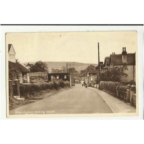 Sussex STORRINGTON Street View Postcard by Norman (4886)