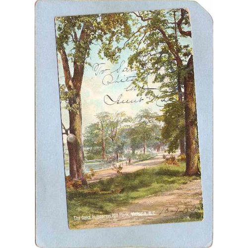 CAN Victoria Postcard The Oaks In Beacon Hill Park can_box1~195