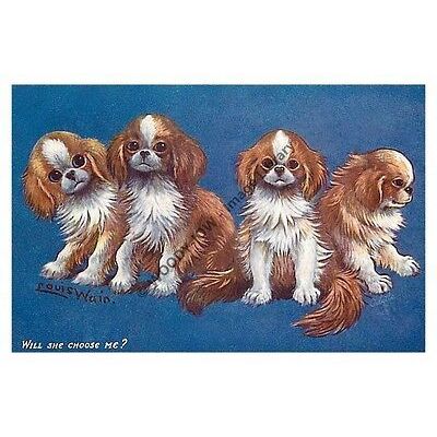 rp13799 - Louis Wain Dogs - Will She Choose Me - print 6x4
