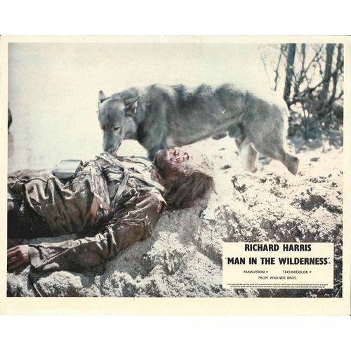 MAN IN THE WILDERNESS Richard Harris 1971 F-O-H Stills Set (8)
