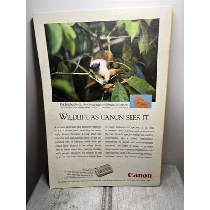 National Geographic Magazine June 1994 Pow Wow - Vintage Collectable