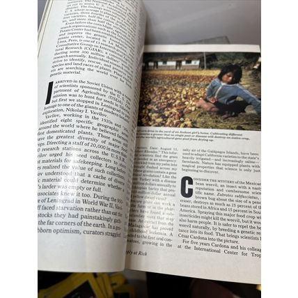 National Geographic Magazine April 1991 Season in the Minors Vintage Collectable