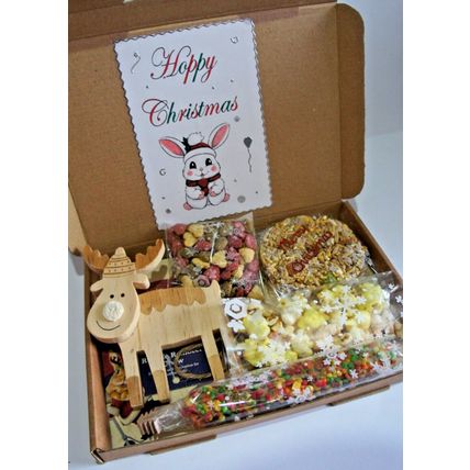HOPPY CHRISTMAS RABBIT BUNNY GIFT BOX WITH REINDEER WOOD GNAW AND TASTY TREATS