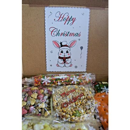 HOPPY CHRISTMAS RABBIT BUNNY GIFTBOX DECORATED GIFT BOX WITH XMAS CAKE & TREATS