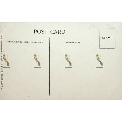 Northgate Pavillion, Brighton, Sussex, GD & D Star Series. Postcard, 1900s