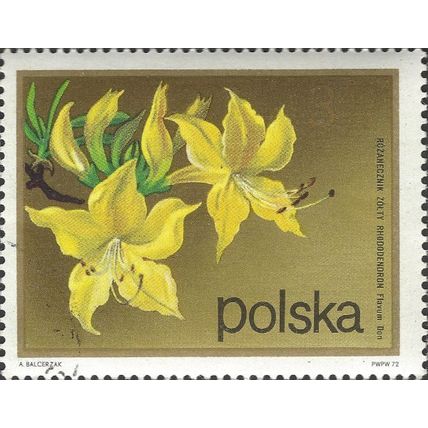 POLAND, FLOWER, Rhodedendron flavum, gold 1972, 3.30Zl