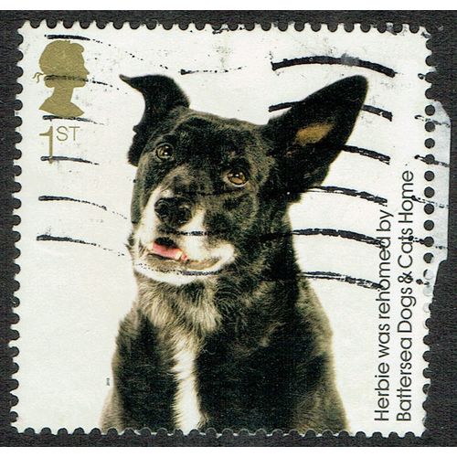 2010 150th Anniversary Battersea Dogs and Cats Home 1st Multicoloured SG3038 GU