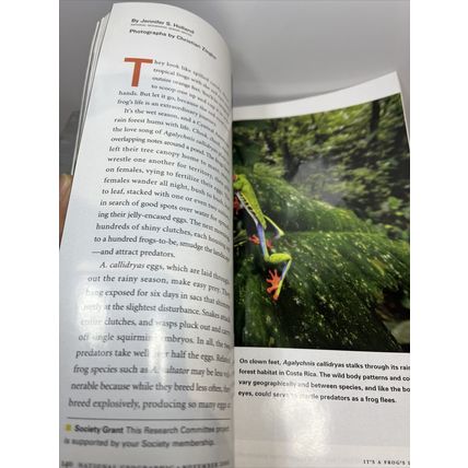 National Geographic Magazine November 2006 Earliest Child Collectable