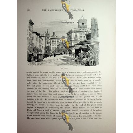 Piazza Nuova, Genoa, Italy, Book Illustration (Print), 1890