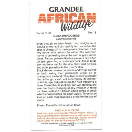 PLAYER'S GRANDEE CIGAR CARD AFRICAN WILDLIFE 1990 EX. No.13 BLACK RHINOCEROS