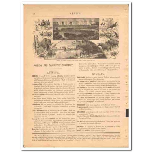 africa scenery and animals 1882 antique print