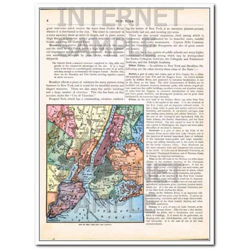 new york 1886 geographical statistics and antique color vintage map