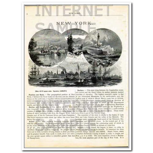 new york 1886 geographical statistics and antique color vintage map