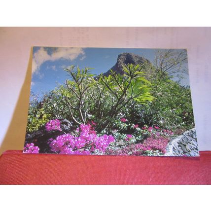 THE MORNE, MAURITIUS used postcard #