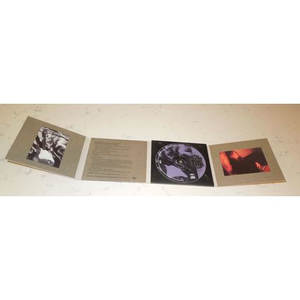LUCK OF THE DRAW By BONNIE RAITT (Country Music CD, 1991, Capitol Records)