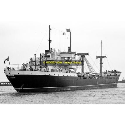mc0071 - Cunard Cargo Ship - Brescia , built 1945 - photo 6x4