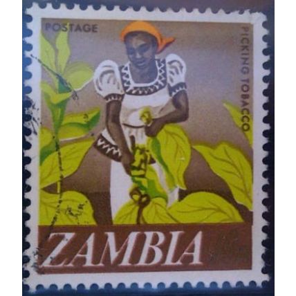 Zambia QEII 1968 10n Tobacco Picking Used SG 134 Sc 44 postage stamp