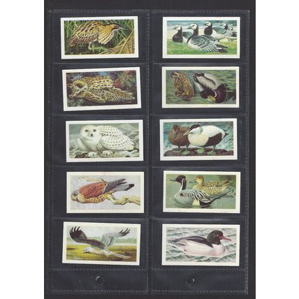 Brooke Bond Original Vintage Full Set of 50 Tea Cards Wild Birds in Britain 1965