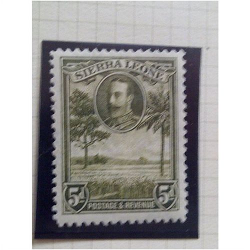 Sierra Leone KGV 1932 5d Bronze Green Unmounted Mint NHM SG 161 stamp rice field