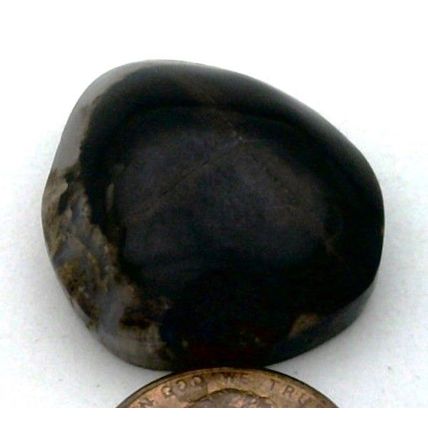 Petrified Wood Freeform Gemstone Cabochon 26