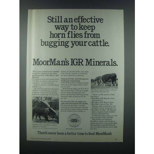 1985 MoorMan's IGR Minerals Ad - Keep Horn Flies