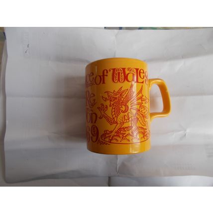MUG /PRINCE OF WALES INVESTITURE MUG (22/01)
