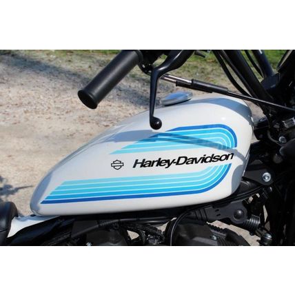 2019 Harley-Davidson Iron 1200