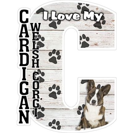 I Love My Cardigan Welsh Corgi Fridge Magnet