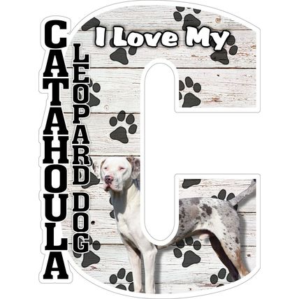 I Love My Catahoula Leopard Dog Fridge Magnet