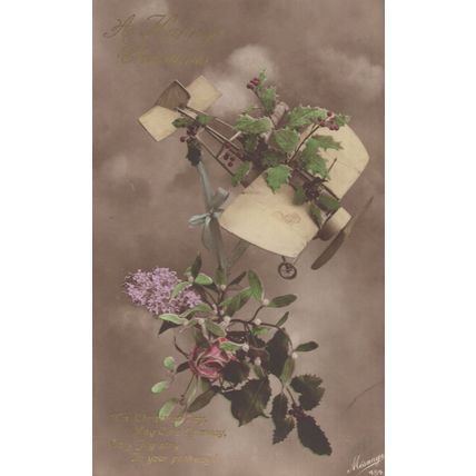 Plane Aircraft Glider Crash Disaster Into Plants Antique Xmas Postcard
