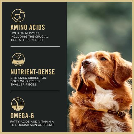 Purina Pro Plan High Protein Dog Food, Small Bites, SPORT 27/17 Lamb and Rice Fo