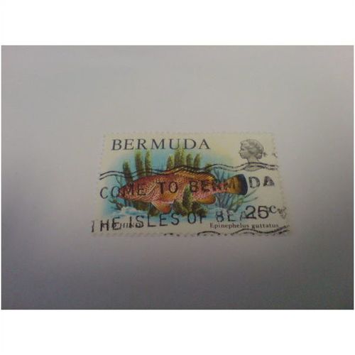 BERMUDA 1978 WILDLIFE red hind 25c BER 33a