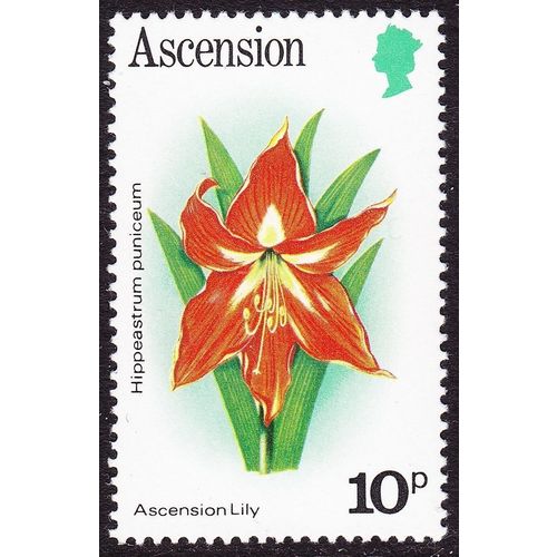 Ascension QEII 1981 Flowers 10p Lily Unmounted Mint NHM SG 288A postage stamp
