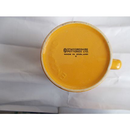 MUG /PRINCE OF WALES INVESTITURE MUG (22/01)