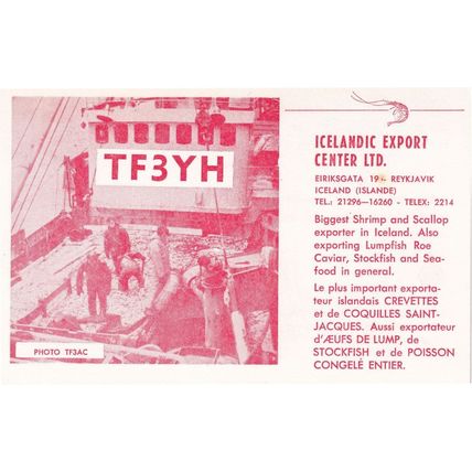 Reykjavik Iceland Export Centre QSL Radio 1970s Rare Card