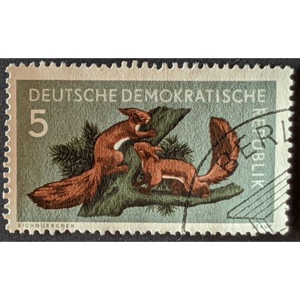 Stamp Germany East SGE470 1959 5pfg Eurasian Red Squirrel Used