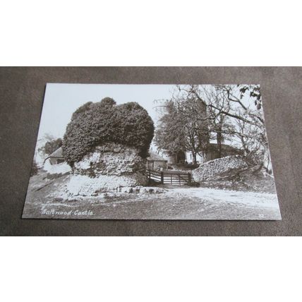 Early Straughan real photo Postcard - Saltwood Castle Nr Hythe, Kent