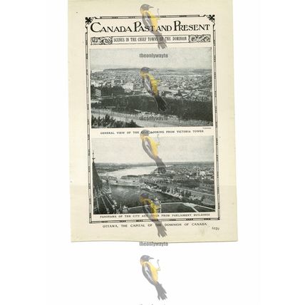 Ottawa, Capital of Canada, Book Illustration (Print), 1909