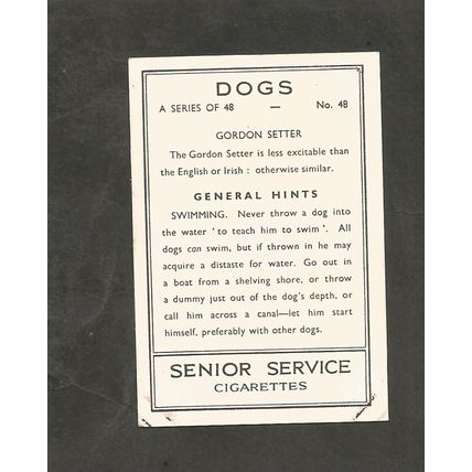 Cigarette Card Senior Service Dogs #48 Gordon Setter
