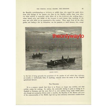 Sardine Fishing, Normandy, France, Book Illustration (Print), c1880