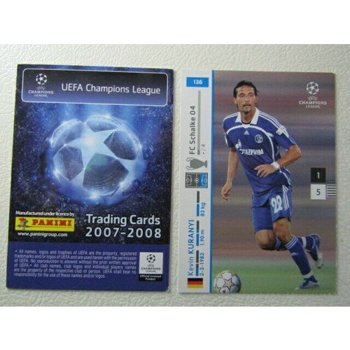 Panini UEFA 2007-2008 Champions League Football Card Variants (ef1)