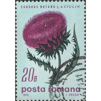 ROMANIA, FLOWER, Carduus nutans, light blue 1970, 20bani, #2