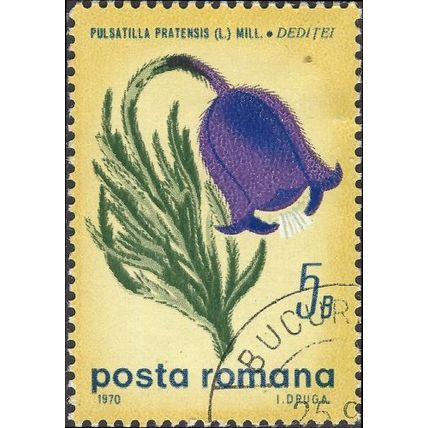 ROMANIA, FLOWER, Pulsatilla Pratensis, yellow 1970, 5bani, #2
