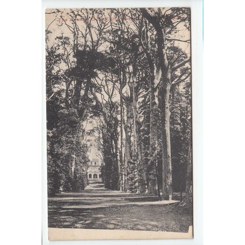 The Avenue Guy's Cliff Warwick Postcard V12