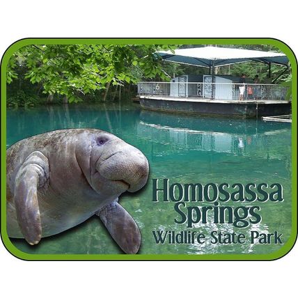 Homosassa Springs Wildlife State Park Florida with Manatee Fridge Magnet